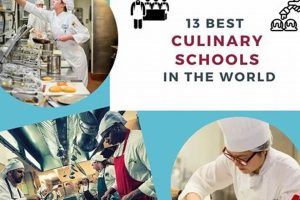 Top 10 Culinary Schools in the World: 2024 Edition | Best Schools in America: Top Public & Private Options