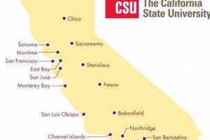 Top Cal State Schools: Best Colleges in CA | Best Schools in America: Top Public & Private Options