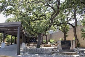 The Ultimate Guide to Lively Middle Schools | Best Schools in America: Top Public & Private Options