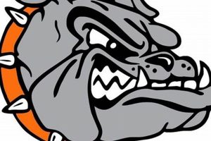 Meet the Aaron Cohn Middle School Mighty Mascot! | Best Schools in America: Top Public & Private Options