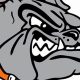 Meet the Aaron Cohn Middle School Mighty Mascot! | Best Schools in America: Top Public & Private Options