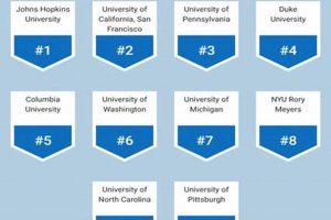 Top 10 Best Nursing Schools in the US 2024 | Best Schools in America: Top Public & Private Options