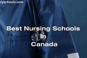 Top Best Nursing Schools in Canada 2024 Best Schools in America: Top Public & Private Options Top Best Nursing Schools in Canada 2024 | Best Schools in America: Top Public & Private Options