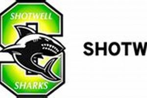 Explore Shotwell Middle School: A Parent's Guide Best Schools in America: Top Public & Private Options Explore Shotwell Middle School: A Parent's Guide | Best Schools in America: Top Public & Private Options