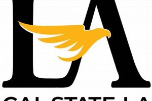 Top Cal State Business Schools: 2024 Guide | Best Schools in America: Top Public & Private Options