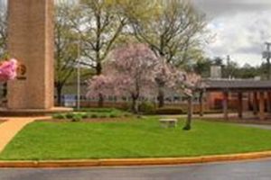 Top St. Louis Catholic Schools: A Guide | Best Schools in America: Top Public & Private Options