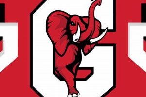 Gainesville GA High School Volleyball Team & Schedule | Best Schools in America: Top Public & Private Options