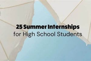 Nsa Internship Summer 2024 For High School Students | Best Schools in America: Top Public & Private Options