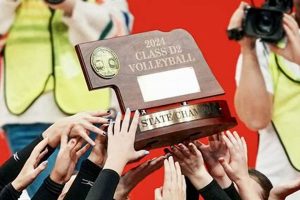 Nebraska HS State Volleyball 2024 Champs Best Schools in America: Top Public & Private Options Nebraska HS State Volleyball 2024 Champs | Best Schools in America: Top Public & Private Options