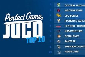 Top Best JUCO Baseball Schools: 2024 Guide | Best Schools in America: Top Public & Private Options