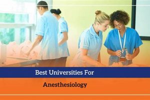 Top Anesthesiology Schools: Best Programs & Training Best Schools in America: Top Public & Private Options Top Anesthesiology Schools: Best Programs & Training | Best Schools in America: Top Public & Private Options