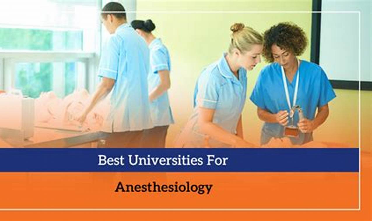 Top Anesthesiology Schools: Best Programs & Training Best Schools in America: Top Public & Private Options Top Anesthesiology Schools: Best Programs & Training | Best Schools in America: Top Public & Private Options