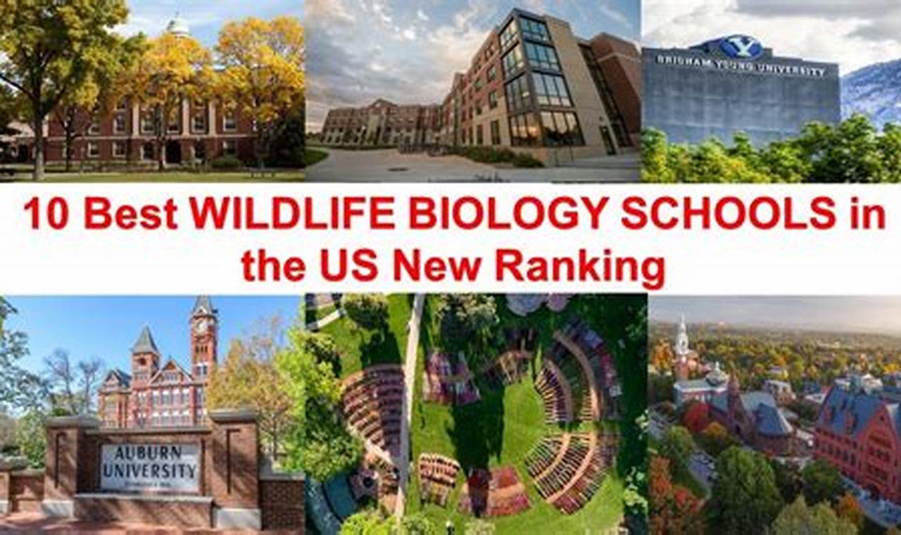 Top 10 Best Biology Schools: 2024 Rankings | Best Schools in America: Top Public & Private Options