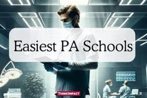 Top 10 Best Online PA Schools & Programs | Best Schools in America: Top Public & Private Options