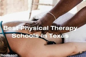 Top Physical Therapy Schools in Texas: 2024 Guide | Best Schools in America: Top Public & Private Options