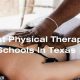 Top Physical Therapy Schools in Texas: 2024 Guide | Best Schools in America: Top Public & Private Options