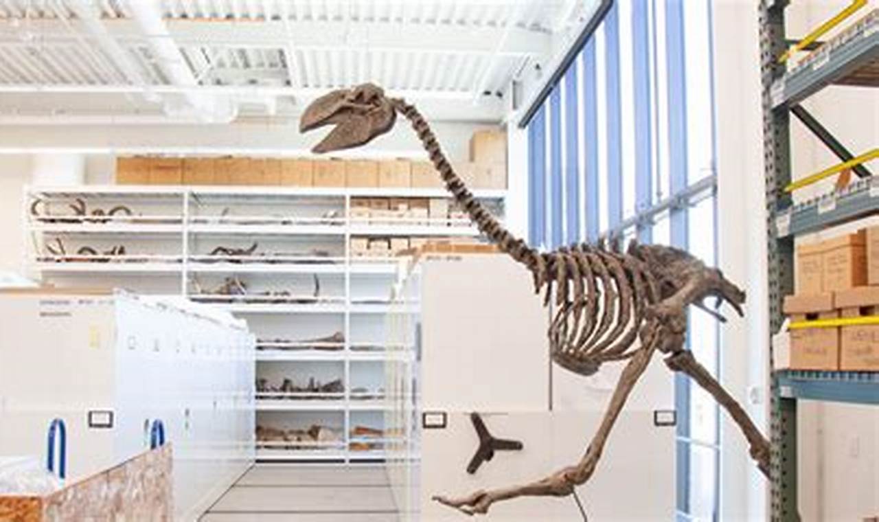 Top 10 Best Paleontology Schools & Programs | Best Schools in America: Top Public & Private Options