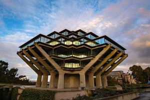 Top Neuroscience Graduate Programs & Schools | Best Schools in America: Top Public & Private Options