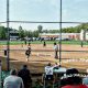 James River High School Softball Roster | Best Schools in America: Top Public & Private Options