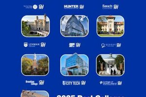 Top CUNY Business Schools: 2024 Guide | Best Schools in America: Top Public & Private Options