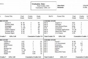Get Your South Plantation High School Transcript Today Best Schools in America: Top Public & Private Options Get Your South Plantation High School Transcript Today | Best Schools in America: Top Public & Private Options