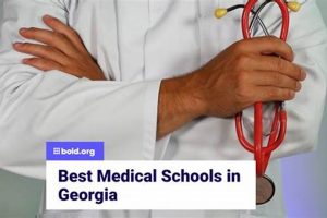 Top Medical Schools in Georgia: 2024 Guide | Best Schools in America: Top Public & Private Options