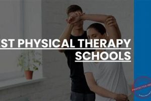 Top Accredited Online Schools for Physical Therapy Degrees Best Schools in America: Top Public & Private Options Top Accredited Online Schools for Physical Therapy Degrees | Best Schools in America: Top Public & Private Options