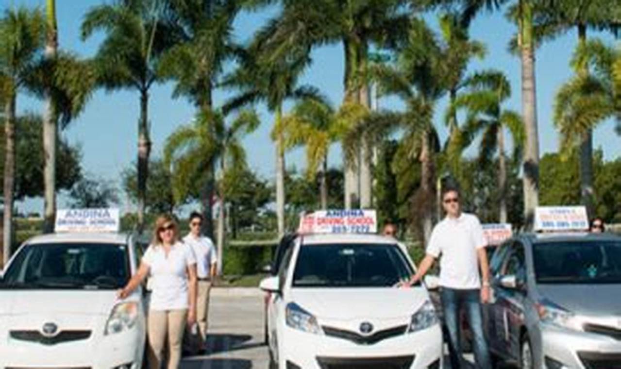 Top 5 Best Driving Schools in Miami, Florida | Best Schools in America: Top Public & Private Options