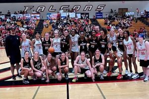 Go Falcons! Flowery Branch HS Athletics News | Best Schools in America: Top Public & Private Options