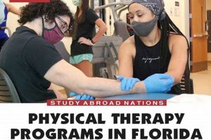 Top 5 Physical Therapy Schools in Florida (2024) Best Schools in America: Top Public & Private Options Top 5 Physical Therapy Schools in Florida (2024) | Best Schools in America: Top Public & Private Options