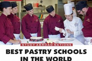 Top 10 Best Pastry Schools: 2024 Guide Best Schools in America: Top Public & Private Options Top 10 Best Pastry Schools: 2024 Guide | Best Schools in America: Top Public & Private Options