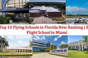 Top 5 Flight Schools in Florida (2024) Best Schools in America: Top Public & Private Options Top 5 Flight Schools in Florida (2024) | Best Schools in America: Top Public & Private Options