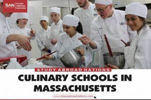 Best Culinary Schools In Massachusetts | Best Schools in America: Top Public & Private Options