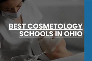 Top Columbus Cosmetology Schools: Your Beauty Career Starts Here Best Schools in America: Top Public & Private Options Top Columbus Cosmetology Schools: Your Beauty Career Starts Here | Best Schools in America: Top Public & Private Options