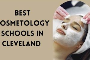 Top Cosmetology Schools in Cleveland, OH 2024 Best Schools in America: Top Public & Private Options Top Cosmetology Schools in Cleveland, OH 2024 | Best Schools in America: Top Public & Private Options