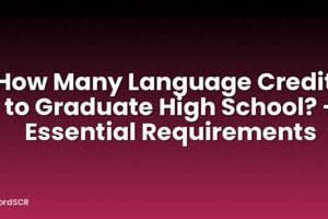 WV High School Graduation Credits: How Many Do You Need? | Best Schools in America: Top Public & Private Options