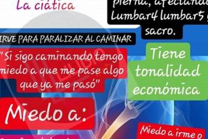 Find Your High School by Address | School Finder | Best Schools in America: Top Public & Private Options