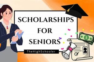 Find $500 Scholarships for High School Seniors Now | Best Schools in America: Top Public & Private Options