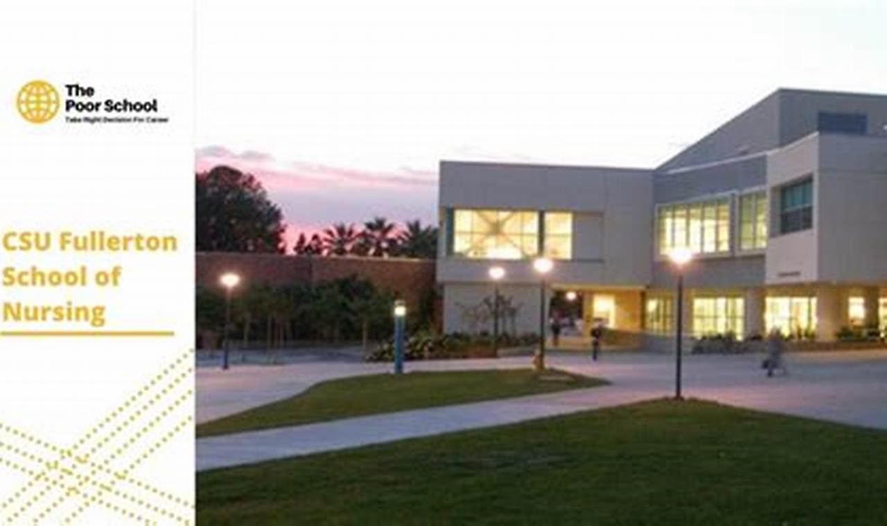 Top 5 Best CSU Nursing Schools in 2024 Best Schools in America: Top Public & Private Options Top 5 Best CSU Nursing Schools in 2024 | Best Schools in America: Top Public & Private Options