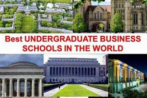 Top 10 Best CS Schools Undergrad for 2024 | Best Schools in America: Top Public & Private Options
