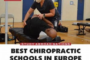 Top Chiropractic Schools: Guide & Rankings Best Schools in America: Top Public & Private Options Top Chiropractic Schools: Guide & Rankings | Best Schools in America: Top Public & Private Options