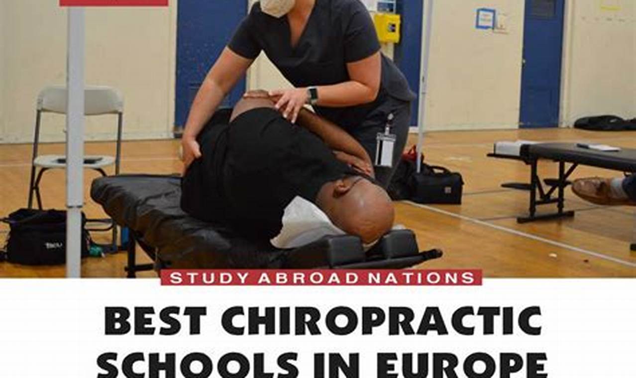 Top Chiropractic Schools: Guide & Rankings Best Schools in America: Top Public & Private Options Top Chiropractic Schools: Guide & Rankings | Best Schools in America: Top Public & Private Options