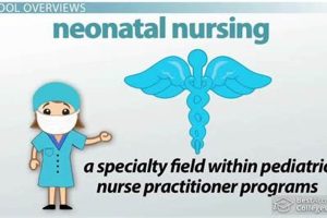 Top Neonatal Nursing Schools: 2024 Guide Best Schools in America: Top Public & Private Options Top Neonatal Nursing Schools: 2024 Guide | Best Schools in America: Top Public & Private Options