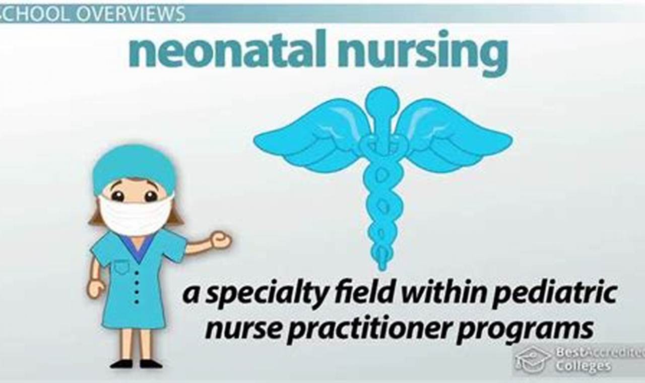 Top Neonatal Nursing Schools: 2024 Guide Best Schools in America: Top Public & Private Options Top Neonatal Nursing Schools: 2024 Guide | Best Schools in America: Top Public & Private Options