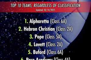 Georgia High School Volleyball Rankings | Best Schools in America: Top Public & Private Options