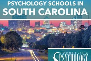Top Psychology Schools in South Carolina Guide | Best Schools in America: Top Public & Private Options