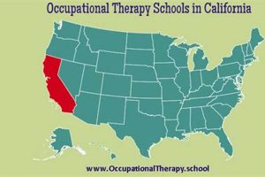 Top 10 Best OT Schools in California 2024 Best Schools in America: Top Public & Private Options Top 10 Best OT Schools in California 2024 | Best Schools in America: Top Public & Private Options