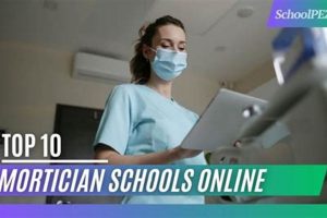 Top Mortuary Science Programs in Texas Best Schools in America: Top Public & Private Options Top Mortuary Science Programs in Texas | Best Schools in America: Top Public & Private Options