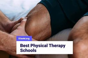 Top Physical Therapy Schools in the US: 2024 Guide | Best Schools in America: Top Public & Private Options