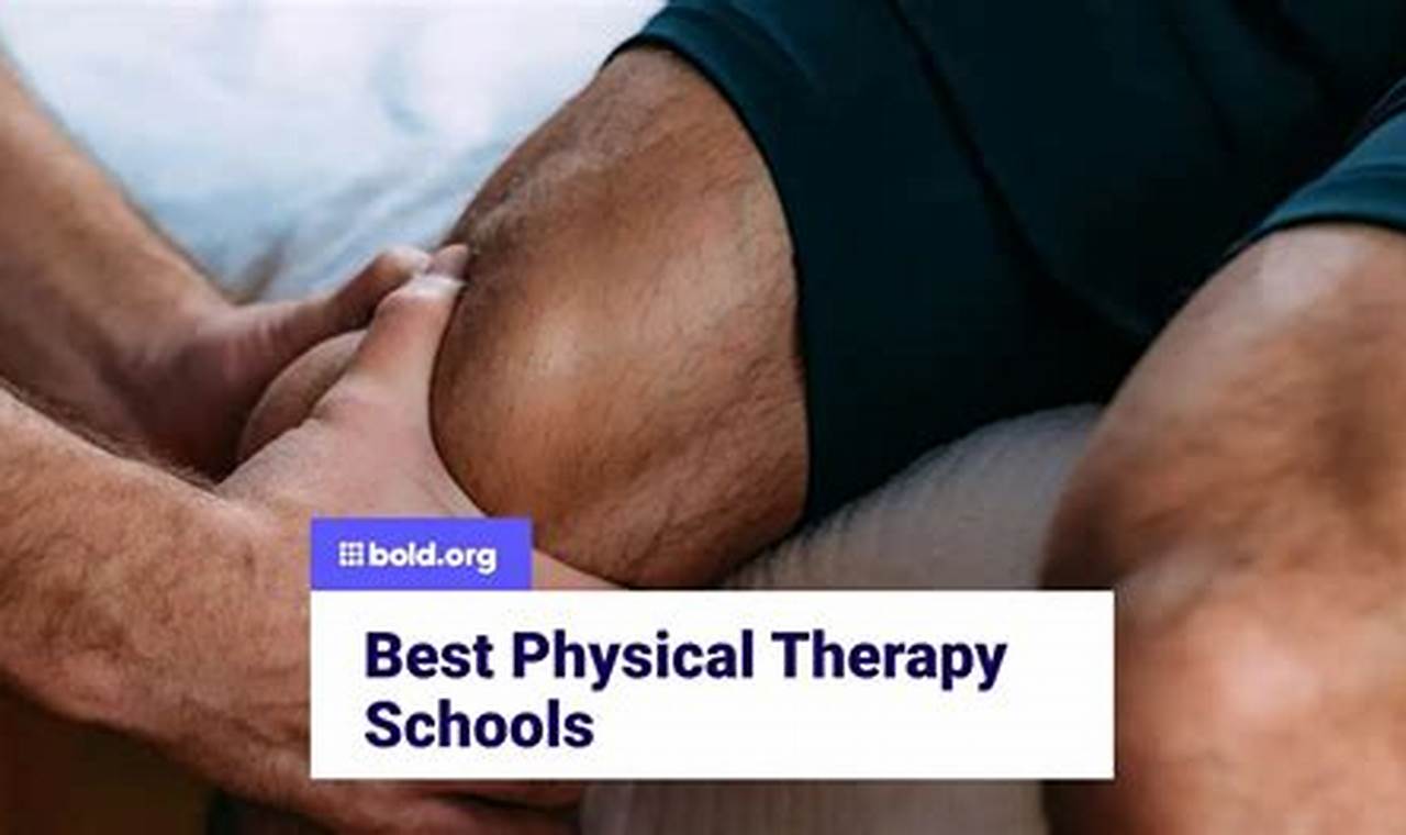Top Physical Therapy Schools in the US: 2024 Guide | Best Schools in America: Top Public & Private Options